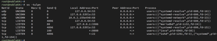 comprueba el puerto tomcat