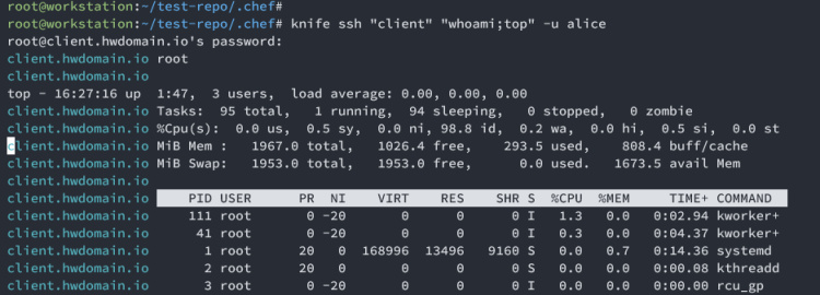 ejecutar comando Linux mediante chef a cliente