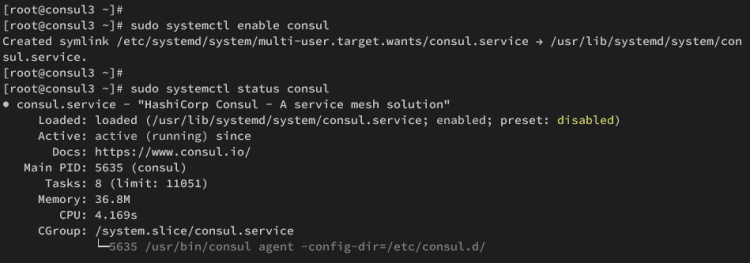 consul3 en marcha