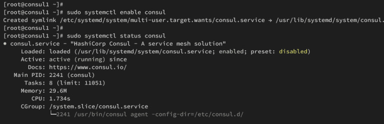 consul1 en marcha
