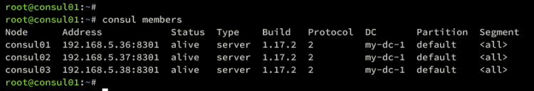 comprobar configuración del cónsul