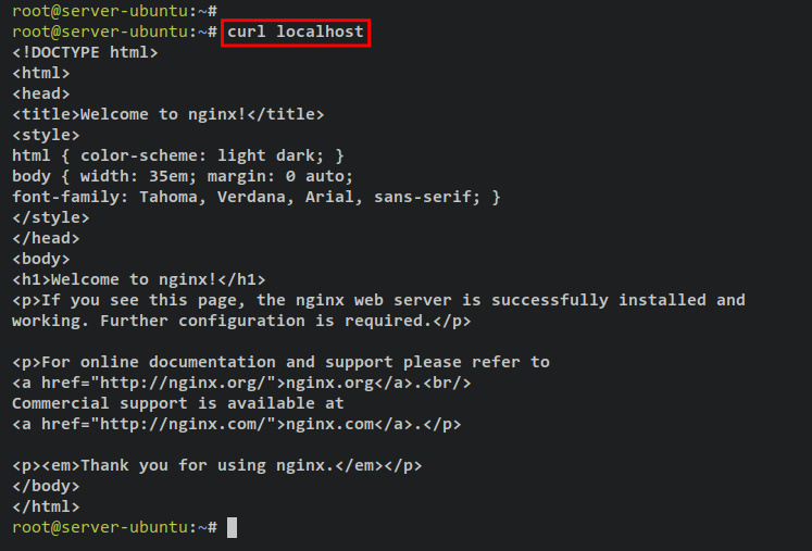 acceder al contenedor nginx