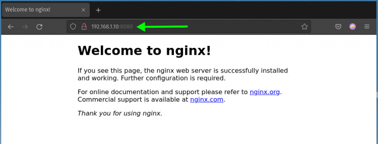Verificar el estado de Nginx Contenedor Docker