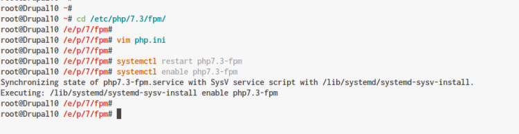 iniciar el servicio php-fpm