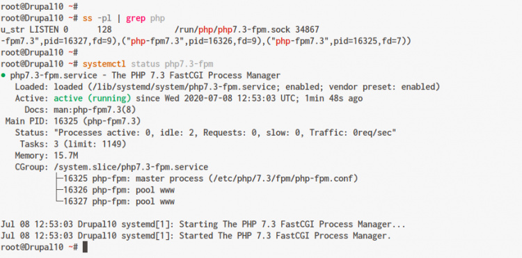 comprueba el servicio php-fpm y el archivo sock
