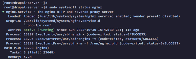 comprobar nginx
