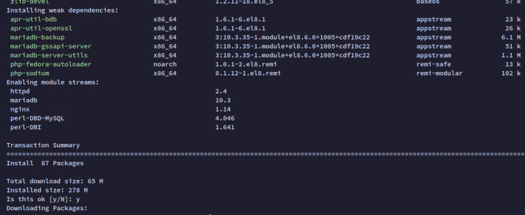 instalar dependencias