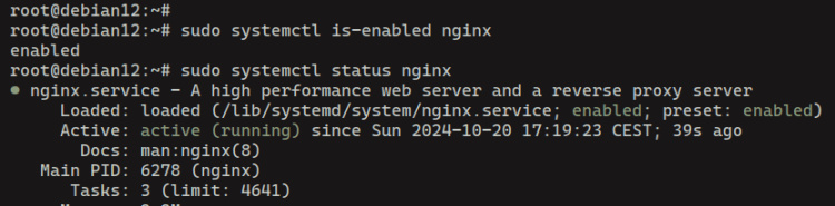 comprobar el estado del servicio nginx