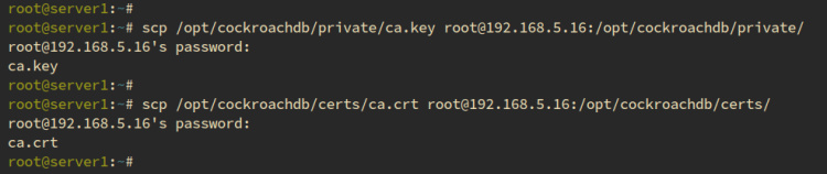 copiar ca al servidor2