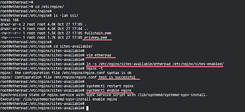 Etherpad detrás del proxy nginx