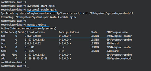 Habilitar e iniciar el servidor web Nginx