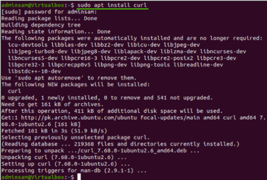 Instalar Curl en el sistema Ubuntu 20.04