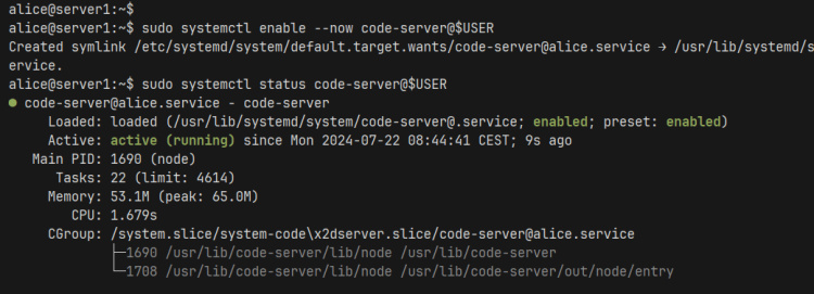 iniciar y verificar el servidor de código