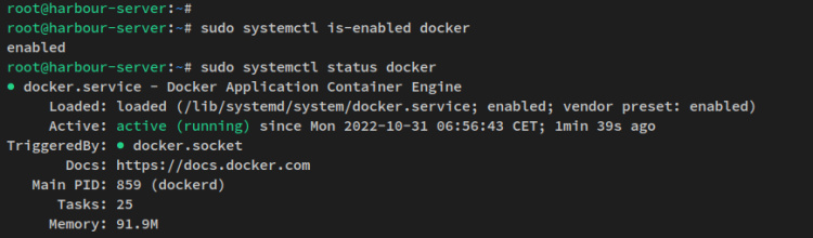 verificar el servicio docker