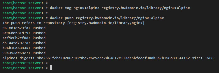 etiquetar y enviar la imagen al registro de imágenes del puerto