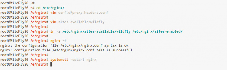 configurar Nginx como proxy inverso para WildFly