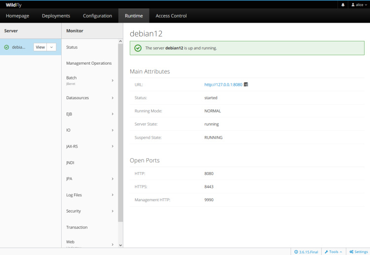 estado tiempo de ejecución