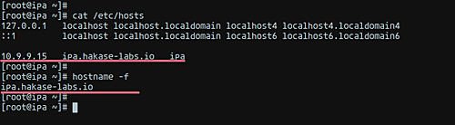 Comprueba el nombre de host