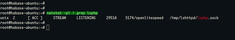 Instalar PHP 7.4 para OpenLitespeed