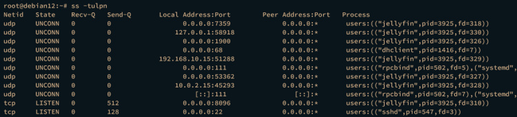 comprobación del puerto jellyfin