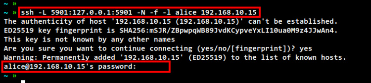 túnel ssh servidor vnc