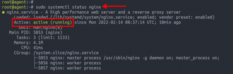Estado del servicio Nginx