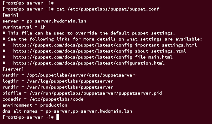 configuración generada servidor puppet