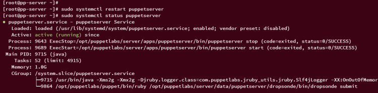 iniciar la verificación del servidor puppet