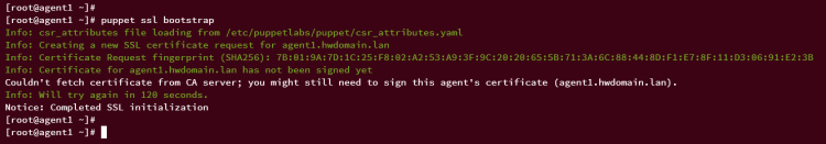 bootstart agente puppet