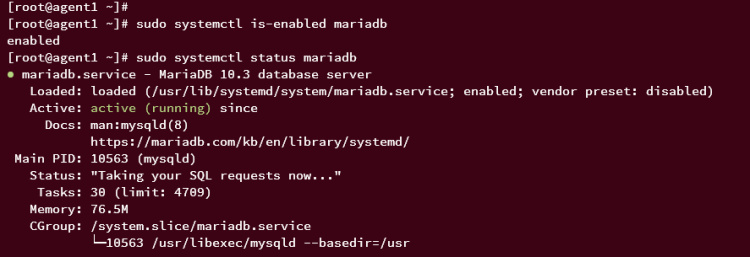comprobación del servicio mariadb