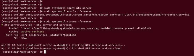 start enable verify nfs-server
