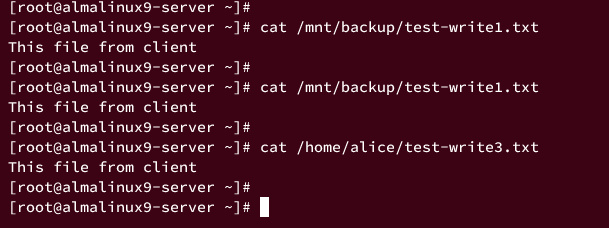 verificar archivos del servidor nfs