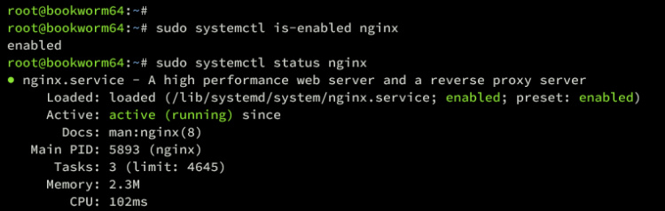 verificar nginx