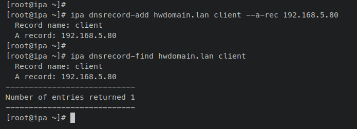 añadir registro dns