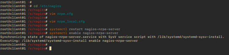 Añadir host a Nagios