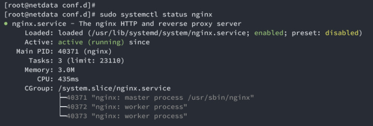comprobar nginx