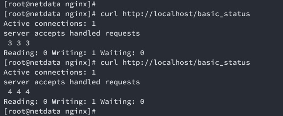 stub nginx
