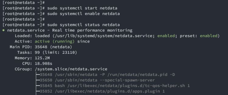 iniciar verificación netdata