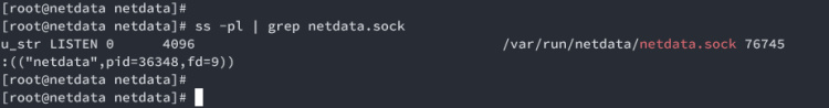 archivo netdata sock