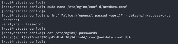 proxy inverso nginx