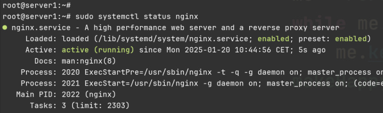 comprobar nginx