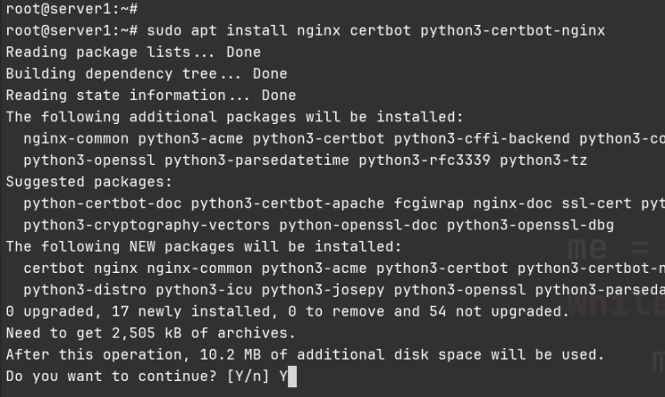 instalar nginx certbot