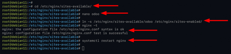 Configurar Nginx como Proxy Inverso Odoo