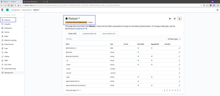 Filebeat en el menú Descubrir