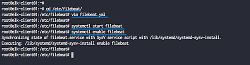 Configurar Filebeat