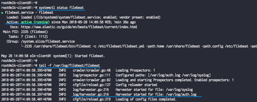 Filebeat está en funcionamiento