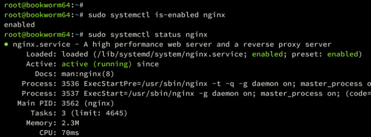 verificar nginx