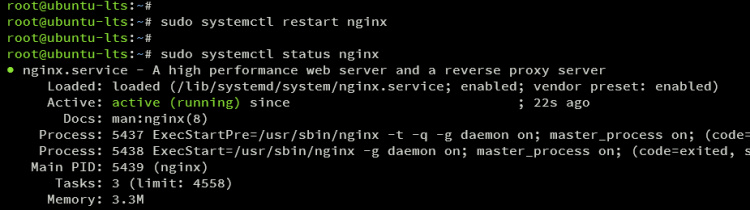verificar nginx