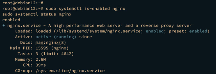 comprobar nginx