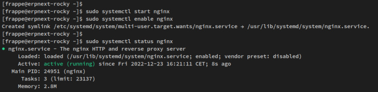 verificar nginx